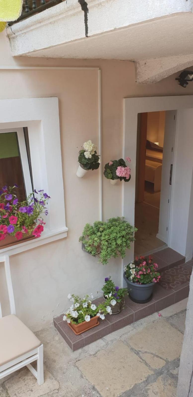 Apartment Asja Old City Center PUY 외부 사진
