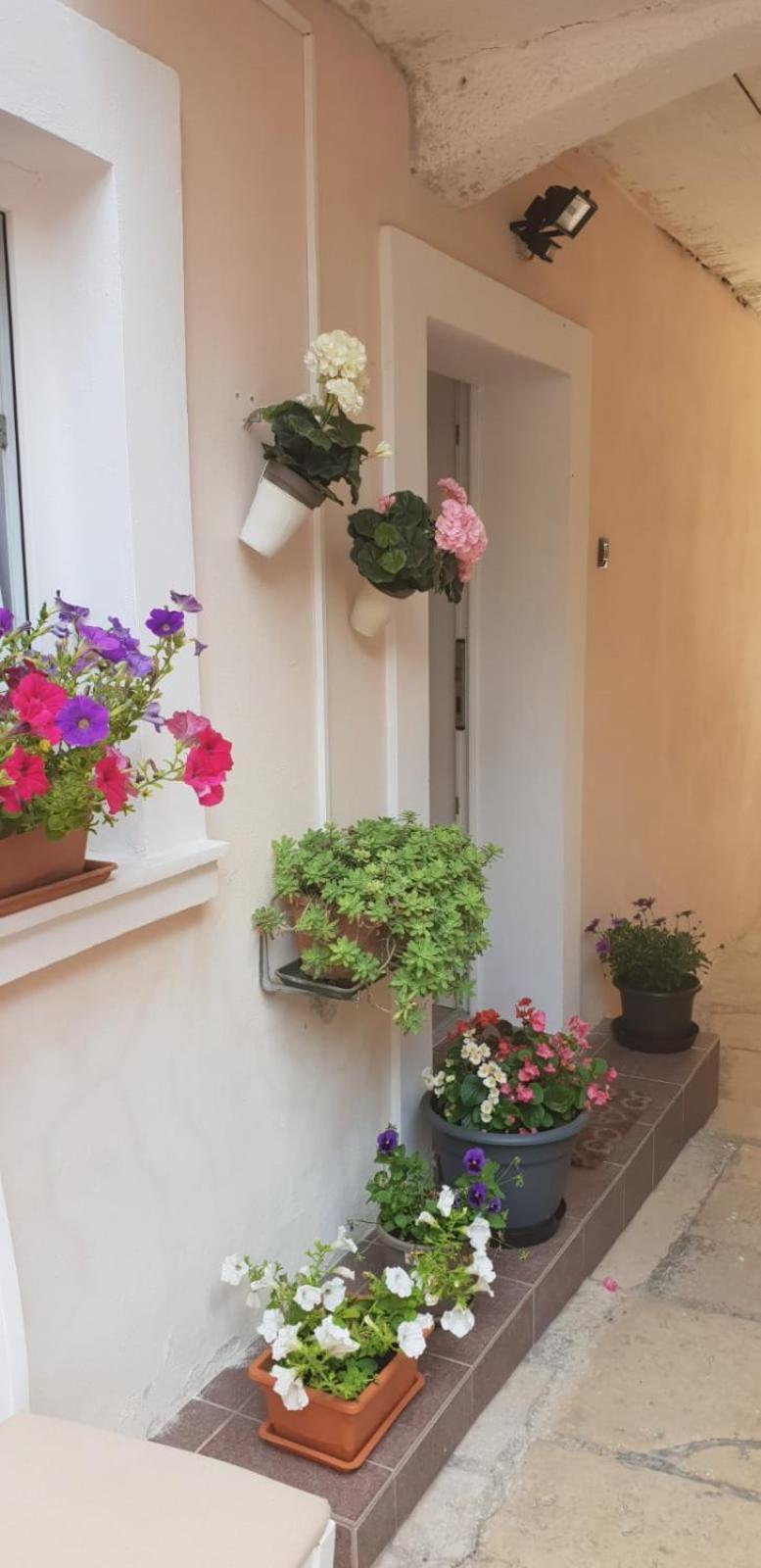 Apartment Asja Old City Center PUY 외부 사진