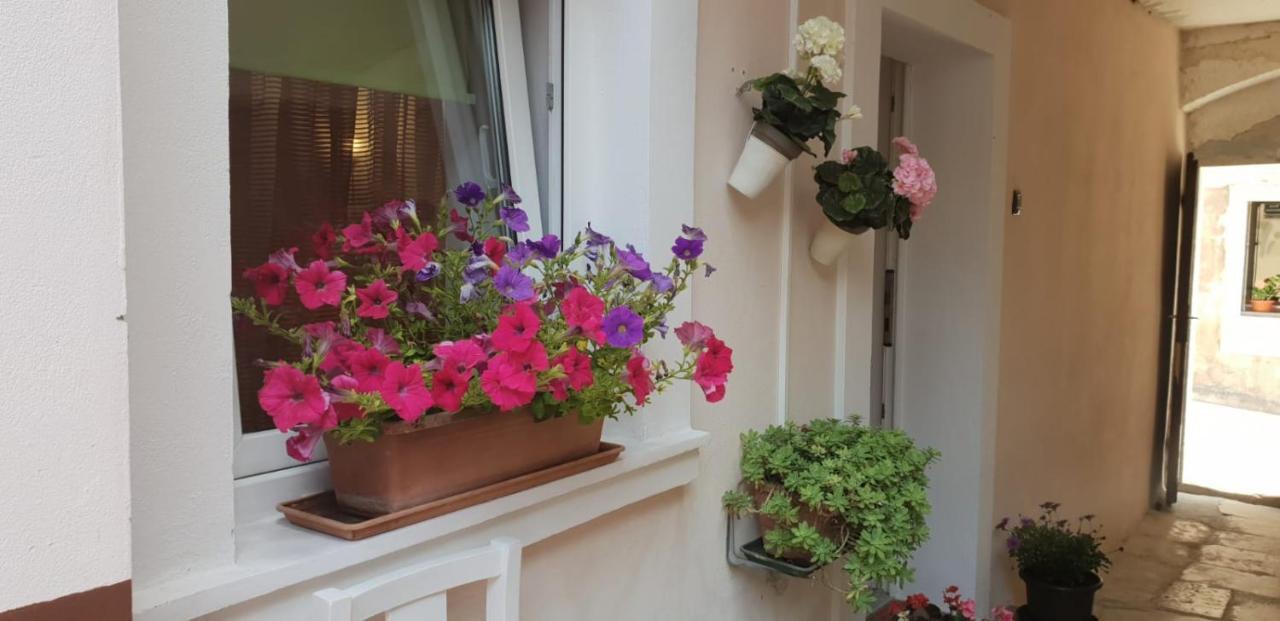Apartment Asja Old City Center PUY 외부 사진